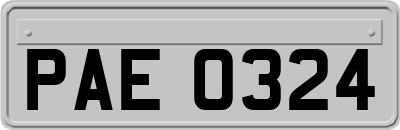 PAE0324