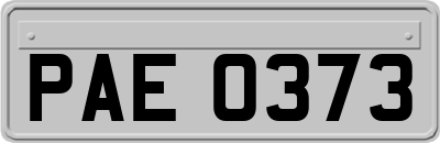 PAE0373