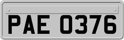 PAE0376