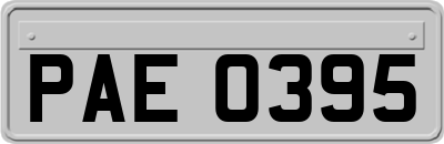PAE0395