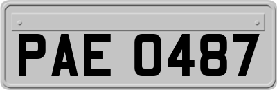 PAE0487