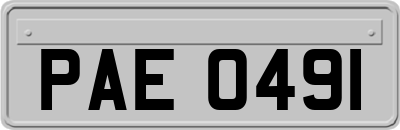 PAE0491