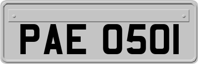 PAE0501