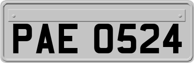 PAE0524