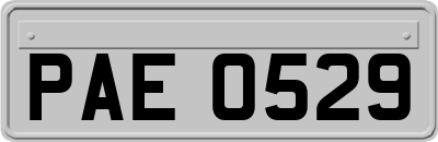 PAE0529