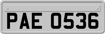 PAE0536