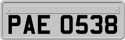 PAE0538