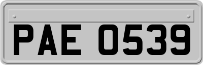 PAE0539