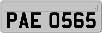 PAE0565