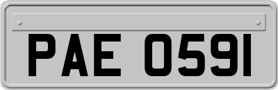 PAE0591
