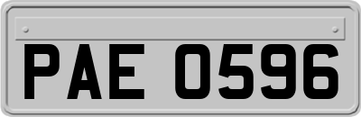 PAE0596