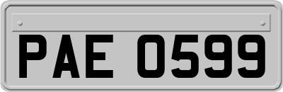 PAE0599
