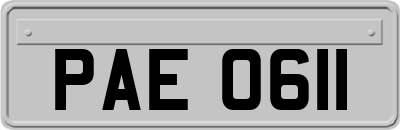 PAE0611