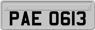 PAE0613