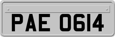 PAE0614