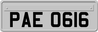 PAE0616