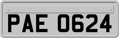 PAE0624