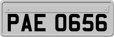 PAE0656
