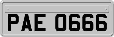 PAE0666