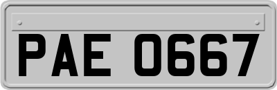 PAE0667
