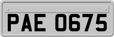 PAE0675