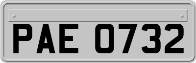 PAE0732