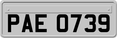 PAE0739