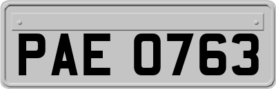 PAE0763