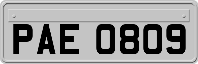 PAE0809