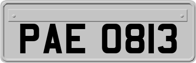 PAE0813