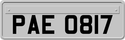 PAE0817