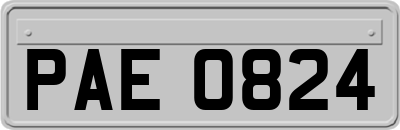 PAE0824