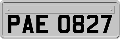 PAE0827