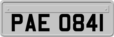PAE0841