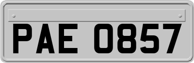 PAE0857
