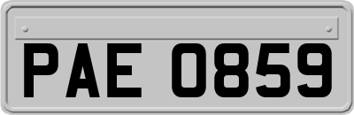 PAE0859