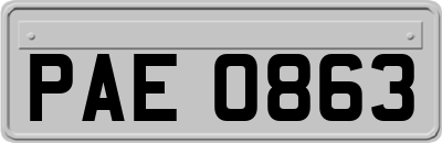 PAE0863