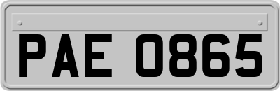 PAE0865