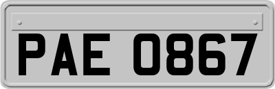 PAE0867
