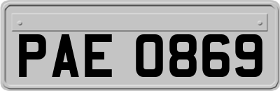 PAE0869