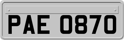 PAE0870