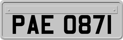 PAE0871