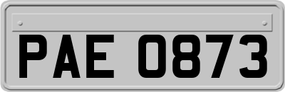 PAE0873