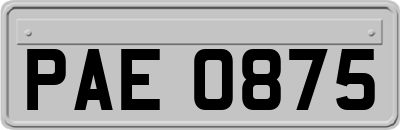 PAE0875
