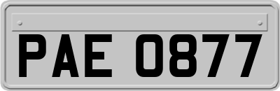 PAE0877