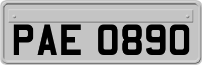 PAE0890