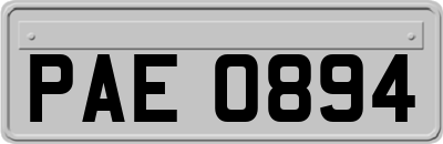 PAE0894