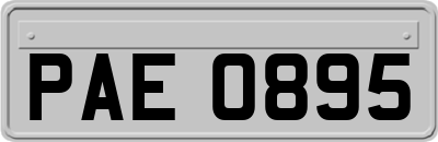 PAE0895