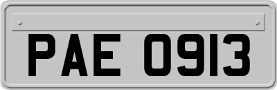 PAE0913