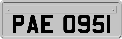 PAE0951